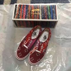 BEDWIN & THE HEARTBREAKERS × VANSのサムネイル