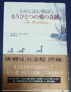 もうひとつの愛の奇跡 きみに読む物語のサムネイル