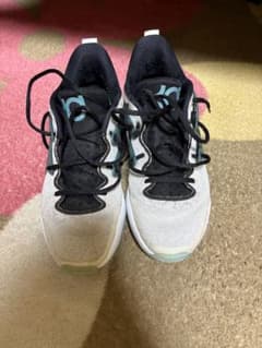 NIKE KD15 27.5cmのサムネイル