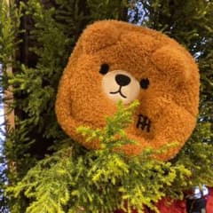 阪神タイガース　コロコロベアスクエアポーチ　近本のサムネイル