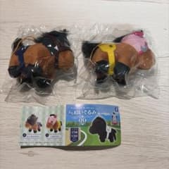 サラブレッドコレクションぷちぬいぐるみ８のサムネイル