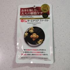 ビタブリッドジャパン ターミナリアファースト プロフェッショナル4 30