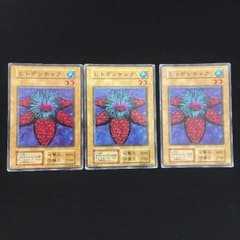 遊戯王 ヒトデンチャク 3枚のサムネイル