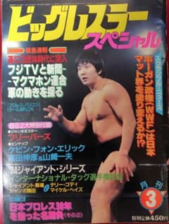 ビッグレスラー・スペシャル 1984年3月号 プロレス雑誌のサムネイル