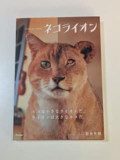 ネコライオン 岩合光昭のサムネイル
