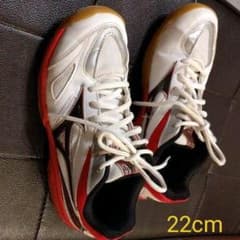 バドミントンシューズ 22cmのサムネイル