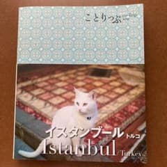 イスタンブール : トルコのサムネイル