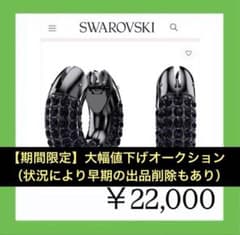 899【激レア色＊完売＊入手困難】￥22,000／黒／Dexteraフープピアス 