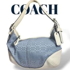 希少色 COACH コーチ アクセサリーポーチ ショルダーバッグ
