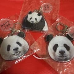 ウエノデパンダ 春節祭　アクリルキーホルダー 3個セット旦旦北辰シャアイシュアイのサムネイル