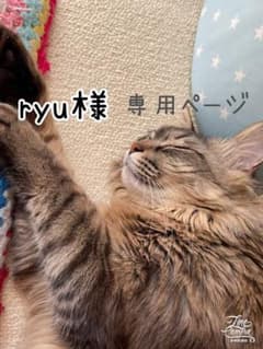 ryu様　専用ページのサムネイル