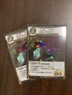 空蝉の皮鎧　2枚セットのサムネイル