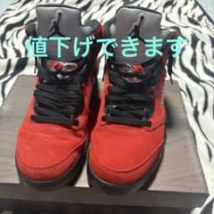 NIKE/ナイキ/スニーカー/Air Jordan 5 トロブラボーのサムネイル