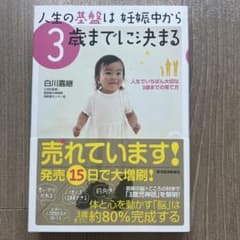 人生の基盤は妊娠中から3歳までに決まる : 人生でいちばん大切な3歳までの育て方のサムネイル