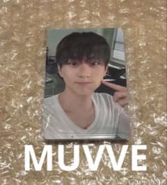 ENHYPEN the sin:vanish muvve 트레카 정원