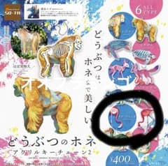 清水イズ　どうぶつのホネ　アクリルキーチェーン2  オオフラミンゴのサムネイル