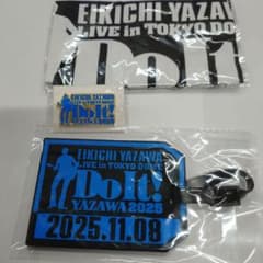 矢沢永吉 LIVE in TOKYO DOME Do It! グッズ3点セットのサムネイル