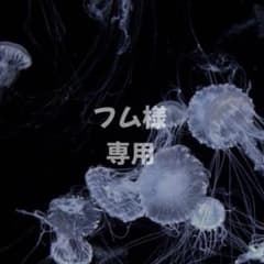 フム様 専用のサムネイル