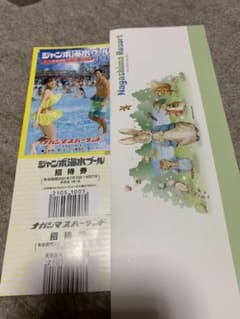 長島ジャンボ海水プール　入場券大人1枚のサムネイル