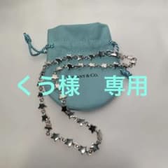 TIFFANY & Co. パフスター シルバー ネックレス - メルカリ