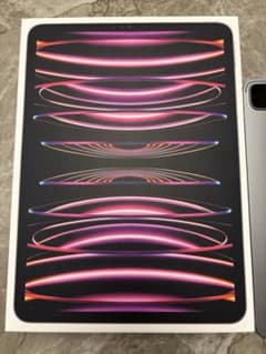 Apple iPad Pro 11インチ 第四世代 スペースグレーのサムネイル