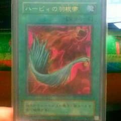ハーピィの羽根箒のサムネイル