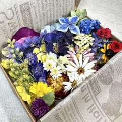 お買い得！！花材詰め合わせBOXのサムネイル