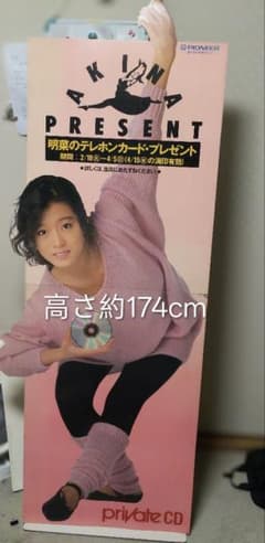 中森明菜 高さ174cm 店頭パネル プライベート 中森明菜 高さ174cm 店頭パネル プライベート - メルカリ
