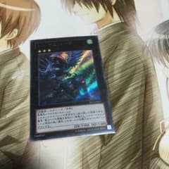 トーテムバード シクのサムネイル
