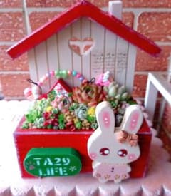 ❤️多肉植物❤️そのまま飾れる寄せ植え❤️うさぎちゃんHouse