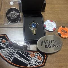 雷*犬様 HARLEY-DAVIDSON CVO ゴールドキー　まとめ売り　非売のサムネイル