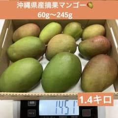 沖縄県産摘果マンゴー(79) 青マンゴーグリーンマンゴー - メルカリ
