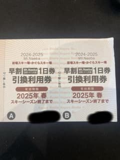 Mt. Naeba 早割1日券 2024-2025 2枚のサムネイル