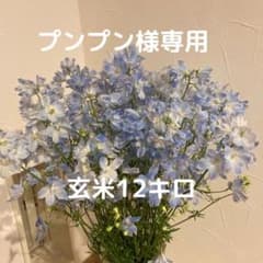 【プンプン様専用商品】のサムネイル