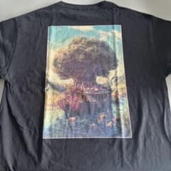 Mrs. GREEN APPLE ノアの方舟 サイン入Tシャツ Lサイズ Mrs. GREEN APPLE タイダイTシャツ ノアの方舟 新品未開封 M - メルカリ