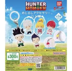HUNTER×HUNTER めじるしアクセサリー G.I.編のサムネイル