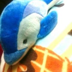 海遊館 イルカ ぬいぐるみのサムネイル