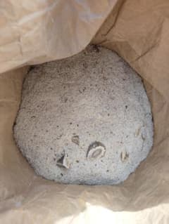 鹿の角　おがくず　約20kg 北海道産エゾシカ 鹿の角 おがくず 約20kg 北海道産エゾシカ - メルカリ