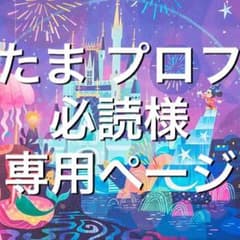 たま＊プロフ必読様 専用ページのサムネイル