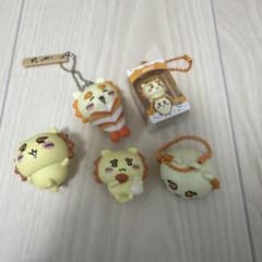 치이카와 시서 5점 세트
