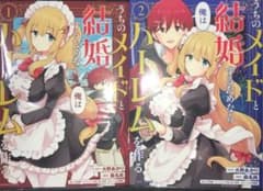 うちのメイドと結婚するためなら俺はハーレムを作る 1のサムネイル