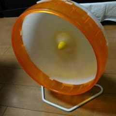 サイレントホイール 21のサムネイル