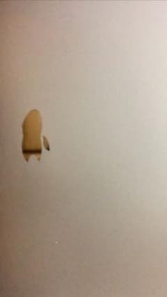 専用のサムネイル
