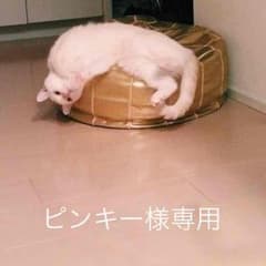 Christian Dior 口紅のサムネイル