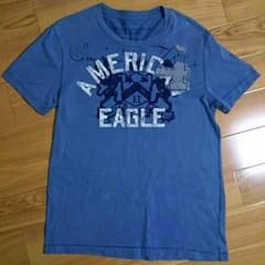 アメリカンイーグルのサムネイル