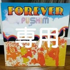 るぅ様専用PUSHIM/FOREVER  10インチレコードのサムネイル
