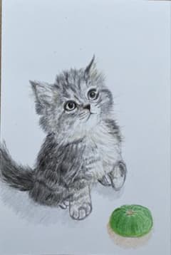 色鉛筆画 原画 手描きイラスト 絵画 アート 猫 絵 もうじき秋は