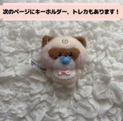ゼベワンzeroni ベビーぬいぐるみハニニ＆キーホルダー&トレカ3枚