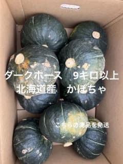 かぼちゃ 箱込み約9キロのサムネイル