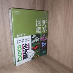 山野草図鑑 大きくて見やすい!比べてよくわかる!のサムネイル